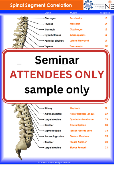 NIS Wall Chart Spinal Segment Correlation